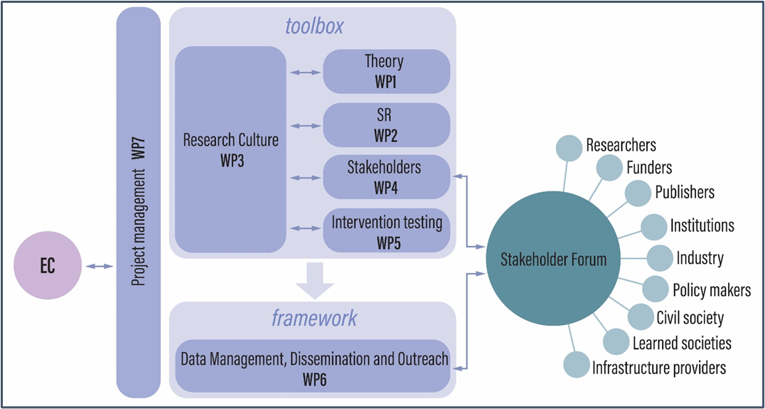 iRISE Structure and Overall Strategy